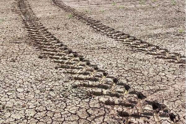 La sequía deja un mal paso
